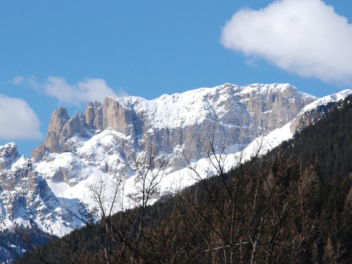 Apartment Villa Placidia-7 By Interhome Campitello di Fassa Dış mekan fotoğraf